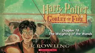 【Harry Potter and the Goblet of Fire】Chapter 18 - The Weighing of the Wands