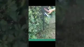 Nicelyon TPLH-020 battery hedge trimmer