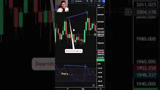 Williams Percent Range Explained For Beginners!