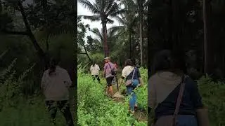 Farm Land in General Nakar