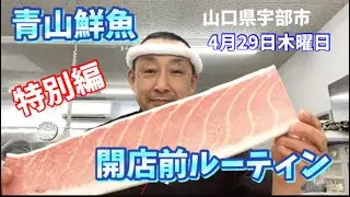 【開店前】【特別編】【朝のルーティン】青山鮮魚🐟開店前の様子🤗