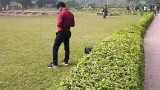 #video Sarnath temple Varanasi 🫶 | Sarnath Garden 🏡 | Sarnath buddha temple | buddha temple video