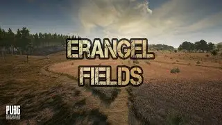 Erangel fields