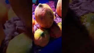 #saharanpurmandi #mandinews #mandiupdate #trending #viralvideo #saharanpurbazar