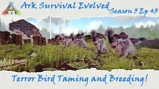 Ark Survival Evolved S3E43: Terror Bird Taming, breeding, and imprinting!