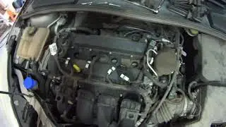 How to change spark plugs on 2016 Ford Focus