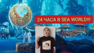 24 часа в Sea world!!!#youtube #seaworld #24часачеллендж #24часа 