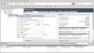 NetApp VAAI vSphere demo