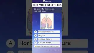 NEET MDS | INI-CET MDS | PSC | BDS - Most Important Questions  #neetmds2025 #mdsprep