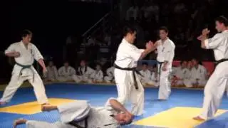 Vancouver Cup 2012 Karate Demonstration