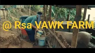 J.Lalrosanga VAWK FARM  ( VAWK vulh hlawtling @ Rsa) (🎈plz SUBSCRIBE 🎈