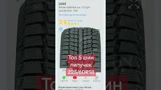 Топ 5 липучек 225/60R18