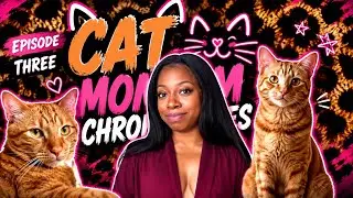 Cat Mom Chronicles EPISODE 3 