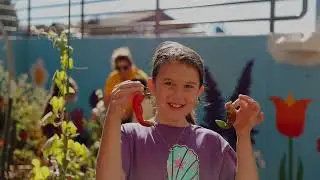 Discover New Summit Charter Academy | Virtual Information Session