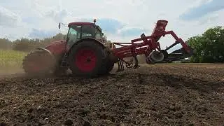 Zetor aan het groenbemester zaaien
