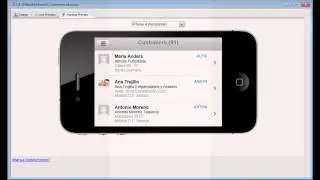 AA Mobile Application Demo