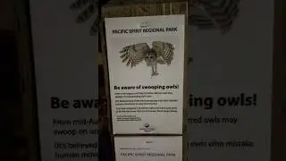 Watch out for owls! 🦉 #nature #animals #vancouver #biology