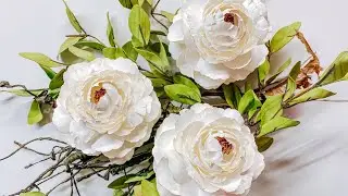 Stemmed Anemone-Alternate Styling as a Peony