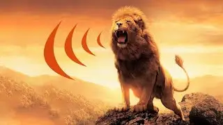 15 of the Loudest Animals on Planet Earth