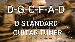 D STANDARD GUITAR TUNER