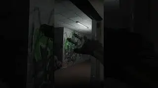 Modded level on Ready or Not