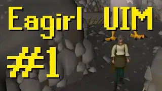 The Eagle Transport-Locked UIM (Eagirl #1)