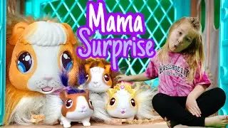 little live pets mama surprise guinea pig |Moose toy&rsquo;s little live pets | Lilly's Toy Time