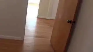 CarolinaVideo