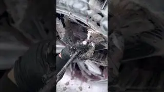 Don&rsquo;t forget those wheel arches when cleaning your wheels #carcleaning #asmr #cleaning #satisfying