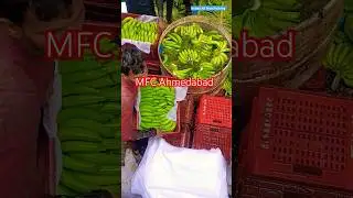 MFC_AHMEDABAD | Premium_Quality_Bananas_Packing #Pisang #Banan #Ban #Banany #Pisangya #G9_Banana