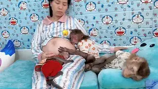 Monkey Sam, Asher, baby Bob hug Mom's pregnant belly to sleep