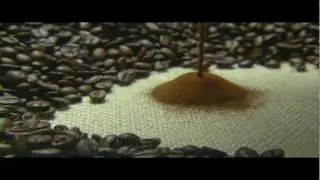 Organo Gold 