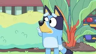 Bluey Music: Butterflies Unknown Track
