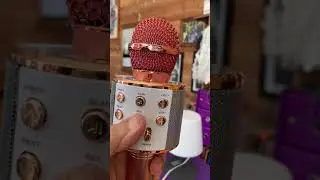 CHENAN Microphone Karaok&eacute; Bluetooth Sans Fil 4en 1 Portable Micro Karaok&eacute;, Microphone karaok&eacute; Blueto