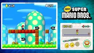 New Super Mario Bros. DS: World 7-5