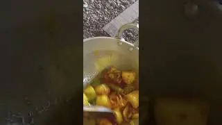Anda pharae