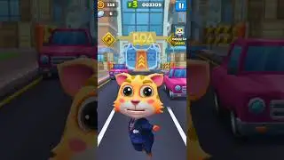 Крутая и популярная игра Cat Runner, Новые игры 2022 2023 New Games