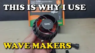 Вот почему вы используете генераторы волн в аквариуме | hygger DC Aquarium Powerhead