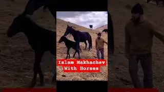 Islam Makhachev With Horses #ufc #mma #islam #makhachev #horses