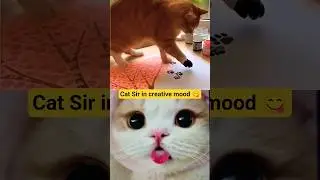 Cat sir Creativity #cat #shorts #creativity #funny #catshorts #painting #animalpainting #pets #love