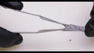 Laschal Flawless Suture Cutter