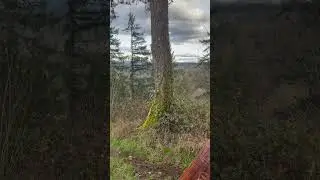Milo McIver State Park-Viewpoint-Minefield Rapid
