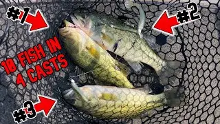 Should THIS be Legal? Alabama Rig Catches 3 Fish on ONE Cast! (Multiple Triples)