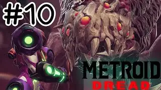 Metroid Dead #10 ตัวดูดความร้อน