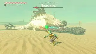 The Legend of Zelda: Breath of the Wild Boss 12 - Molduking