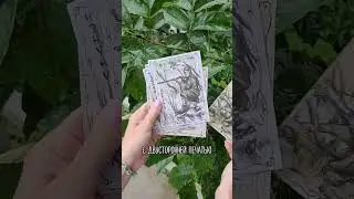 [Max Print типография] Печать полиграфической продукции 2024г. #коробки #печать #стаканы #maxprint