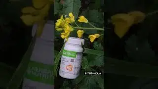 Afresh Lemon Herbalife nutrition