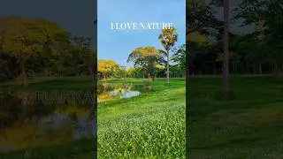 I LOVE NATURE: Nature makes me feel fresh, We take care of nature and nature takes us back.