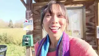 Help us with our public art campaign in Tivoli Lake Preserve!