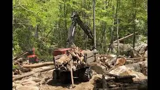 USACE contractor talks about efforts to tread lightly around sensitive NC habitats